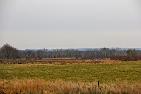 unseasonably green and bare fields