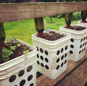 Wacky Gardening Hacks That Actually Work