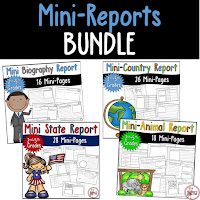 Mini Reports Bundle for 4 products