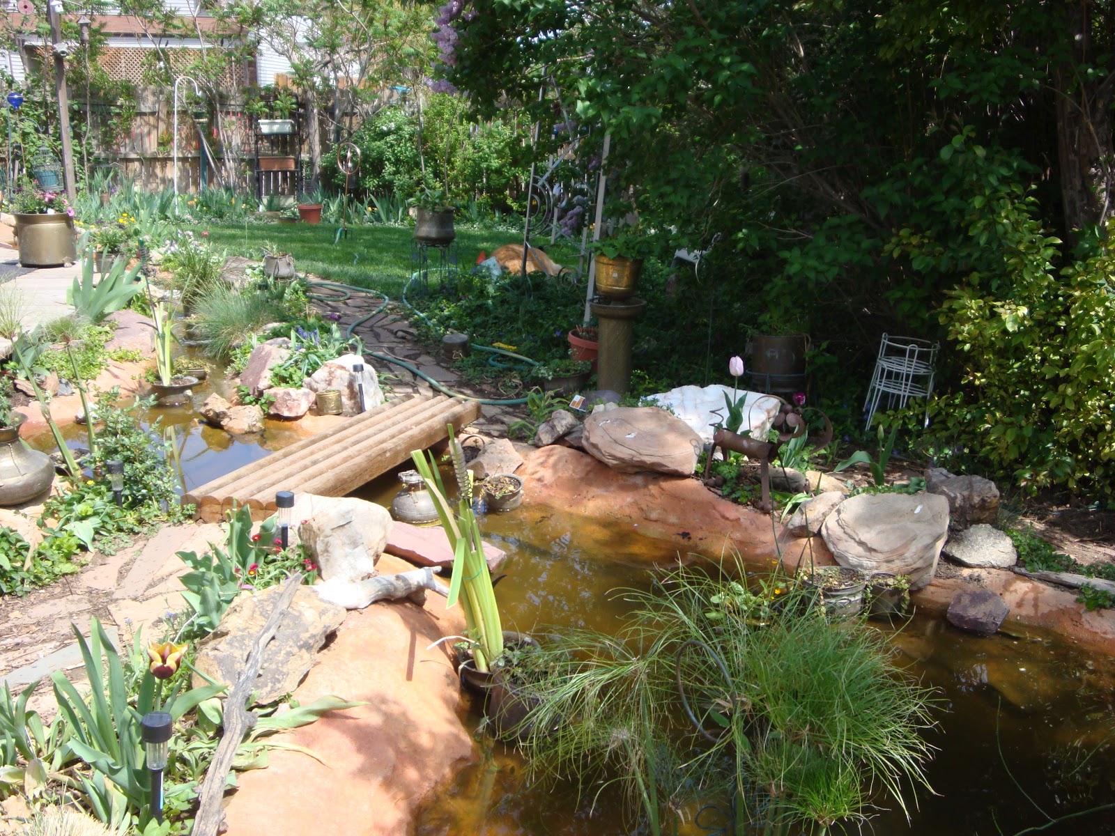 JeffCo Gardener Creating A Backyard Pond By Rich Haas