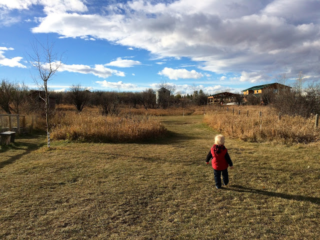 Kayben Farms Okotoks Alberta