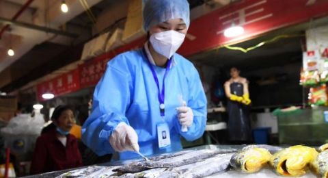 Dua Kali Ikan Asal Indonesia yang Masuk ke China Positif Corona, Apa yang Terjadi?