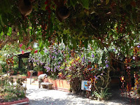 Puerto Vallarta Botanical Gardens Tripadvisor