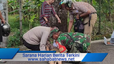 Reaksi Cepat Babinsa Dan Bhabinkamtibmas Evakuasi Korban Kecelakaan Di Maccorawalie Pinrang 