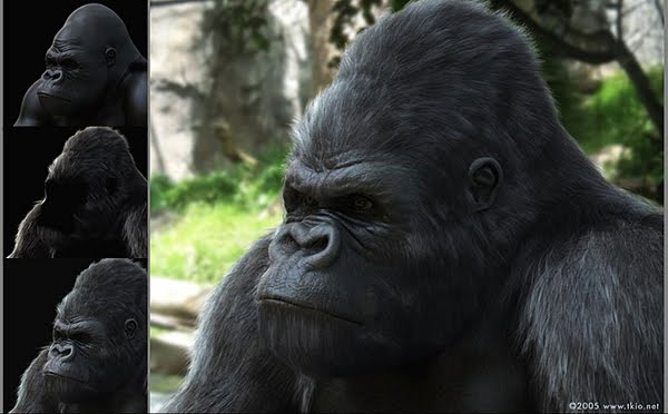 Gorilla