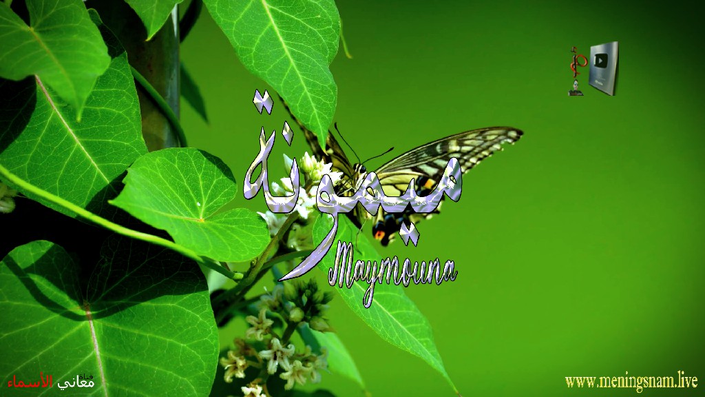 معنى اسم, ميمونة, وصفات, حاملة, هذا الاسم, Maymouna,