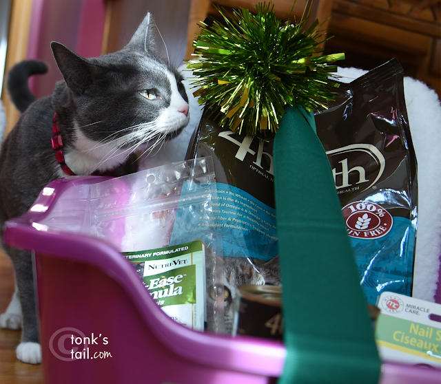 Allie gives the Wayside Waifs gift bundle her sniff of approval