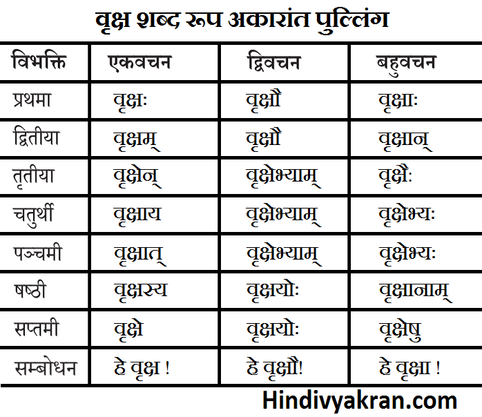 वृक्ष शब्द रूप संस्कृत में – Vriksh Shabd Roop In Sanskrit