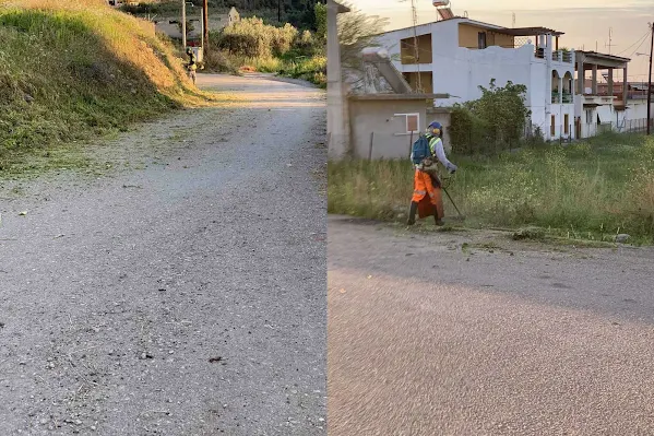 ΔΗΜΟΣ ΣΤΥΛΙΔΑΣ: ΚΟΠΗ ΧΟΡΤΩΝ ΣΤΗΝ ΚΟΙΝΟΤΗΤΑ ΑΥΛΑΚΙΟΥ