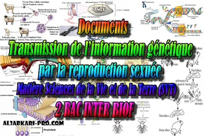 Documents Transmission de l’information génétique par la reproduction sexuée 2 bac biof PDF , Sciences de la Vie et de la Terre biof, svt biof, 2 bac biof, Examen National, Devoir, 2 bac inter, PDF, baccalauréat international maroc, baccalauréat international, BAC, 2 éme Bac, Exercices, Cours, devoirs, examen nationaux, exercice, filière, 2ème Baccalauréat, prof de soutien scolaire a domicile, cours gratuit, cours gratuit en ligne, cours particuliers, cours à domicile, soutien scolaire à domicile, les cours particuliers, cours de soutien, les cours de soutien, cours online, cour online.