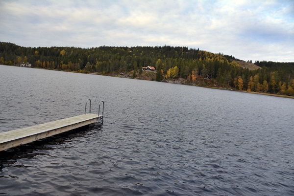 Store røstjern Ringkollen Jaklefoss