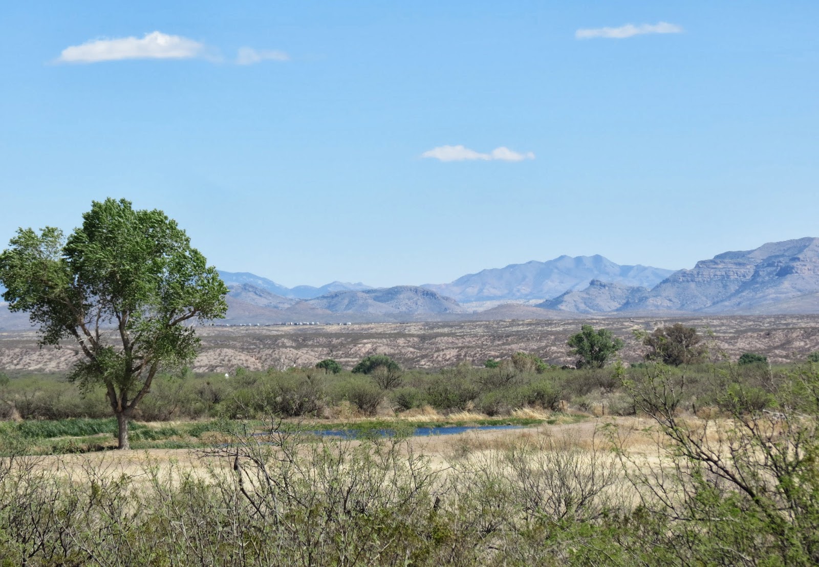 Where's Liz? 2014: Slaughter Ranch, San Bernadino and Leslie Canyon 