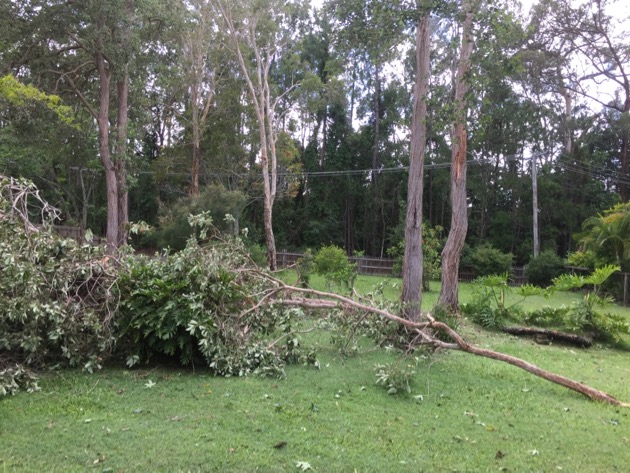 Microburst storm hit us but we're all fine