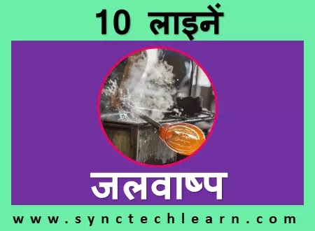 10 lines about Vapor in Hindi