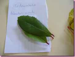 P1020300