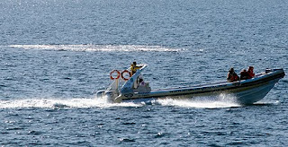 Avistaje de Ballenas pasando a metros del Islote de Pardelas