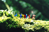 #7 Pikmin Wallpaper