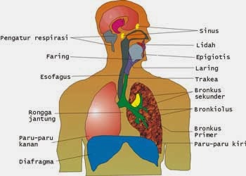 http://gerakanbalonganmandiri.blogspot.com