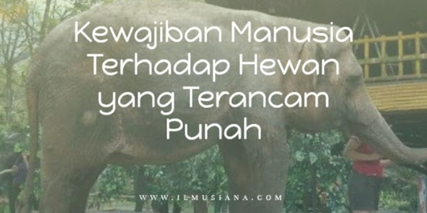 7+ Kewajiban Manusia Terhadap Hewan yang Terancam Punah