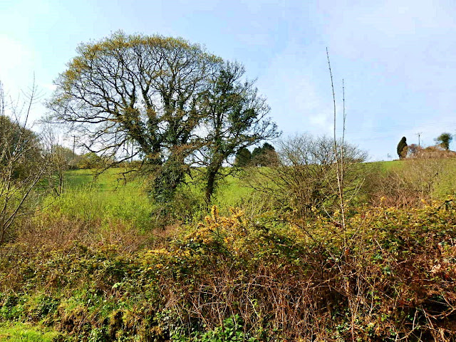 Gover Valley, Cornwall