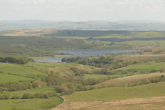 A rolling landscape of fields and trees surrounding the blue waters of a large reservoir.