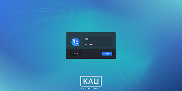 How to install Kali Linux on USB via Graphical Installation. Get full hardware access of host.