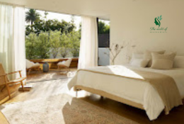 Darkness Your Way to Better Sleep : Creating a Sleep Sanctuary