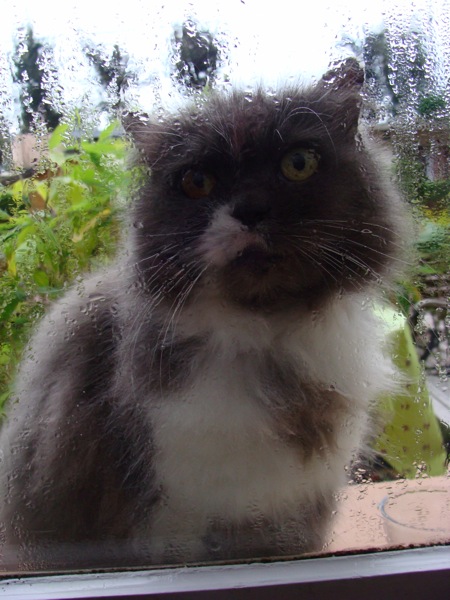 DSC02839