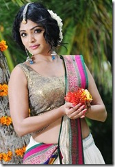 rima_kallingal_beautiful_in_halfsaree_photos