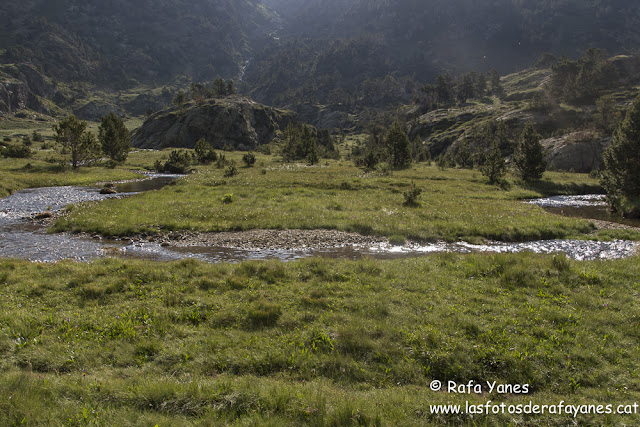 Ruta: La Pica d’Estats (3.143 m) (Els 100 Cims)