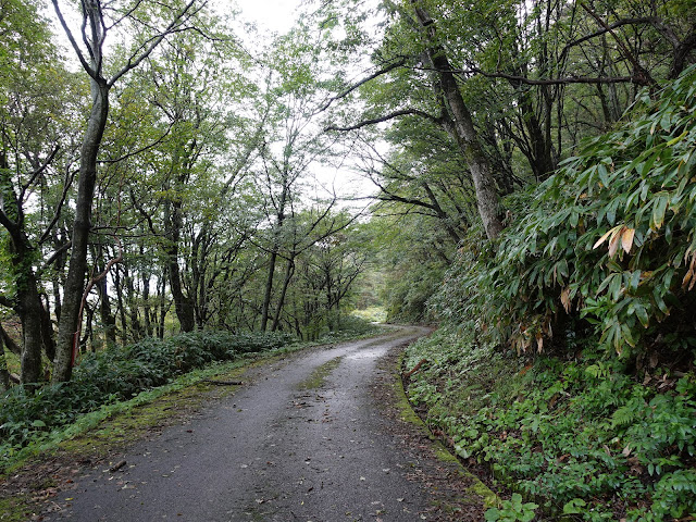 大休峠入り口に向かう山道