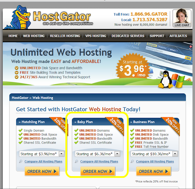 HostGator coupon tutorial 2