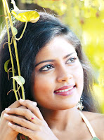 Sri Lanka Model Collection