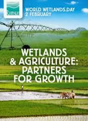 World Wetlands 2014