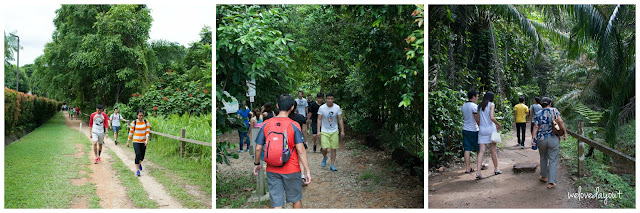 Families and friends having fun walking together towards HSBC TreeTop Walk