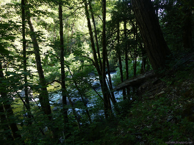 more of Wooley Creek through trees