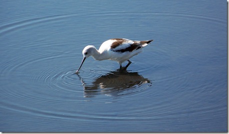2011-10-28 Charleston SC 020