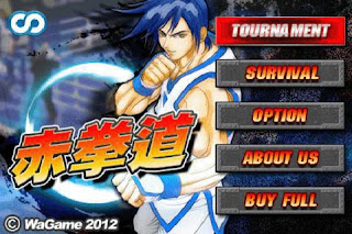 Kung Fu Do Fighting Android Games Free Download