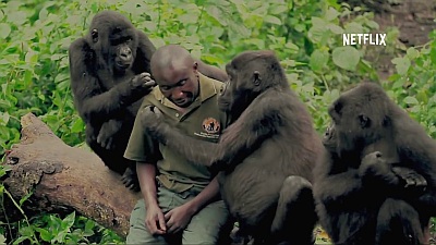 Virunga (Movie) - Main Trailer - Screenshot