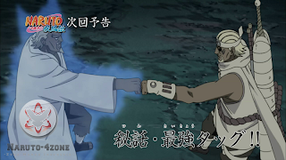 Naruto Shippuden Episode 282 - Indonesia Subtitle