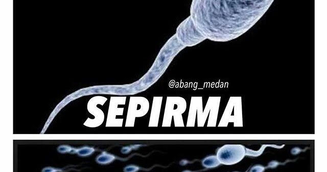 Meme Lucu Sepi vs Rame #sepivsrame - Disini Aja Tempatnya