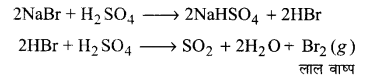 Solutions Class 11 रसायन विज्ञान Chapter-8 (अपचयोपचय अभिक्रियाएँ)