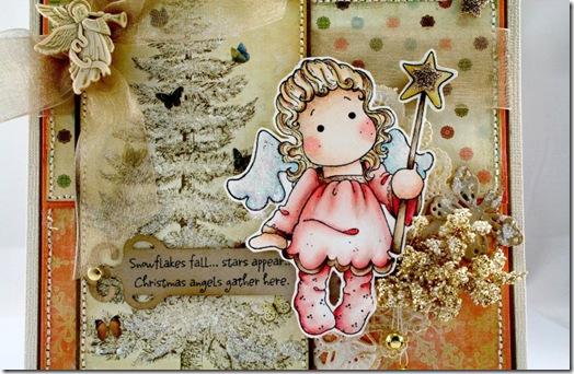 Claudia_Rosa_Butterflies_1