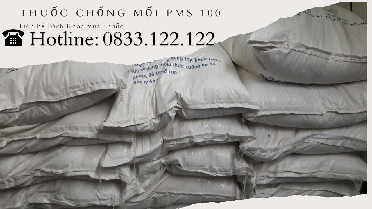 Thuốc bột chống mối PMS 100 - sảm phẩm chống mối hiệu quả cao dễ sử dụng