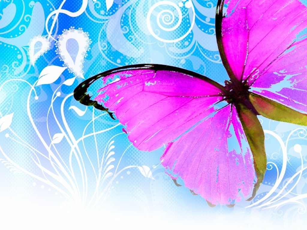 Hairstyles Cuts Tips: Flying Butterfly Backgrounds