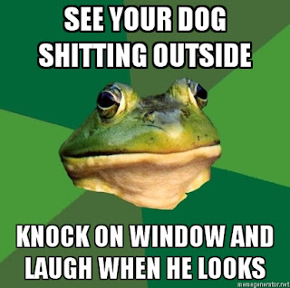 foul bachelor frog dog shitting outside