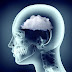 Feeling Foggy? What Is Brain Fog and How Can You Get Rid of It?