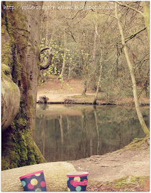 picnic at Waggoner's Wells, National Trust