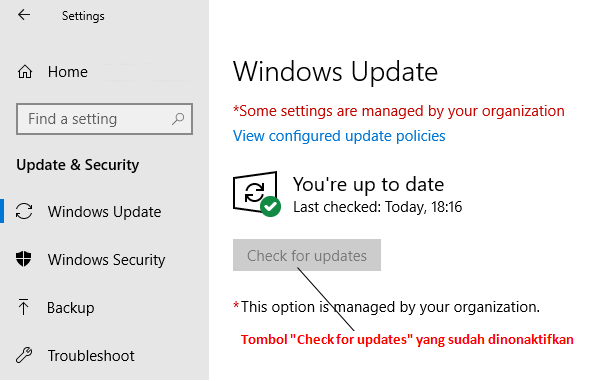 Menonaktifkan tombol Check for Updates di windows 10-gambar 1