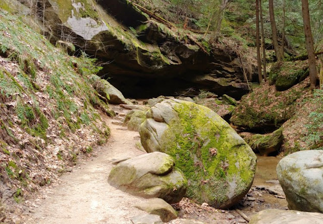 Each trail is intriguing traversing through Hocking Hills State Park  including Conkles Hollow Gorge  Trail. Image credit April Berry.